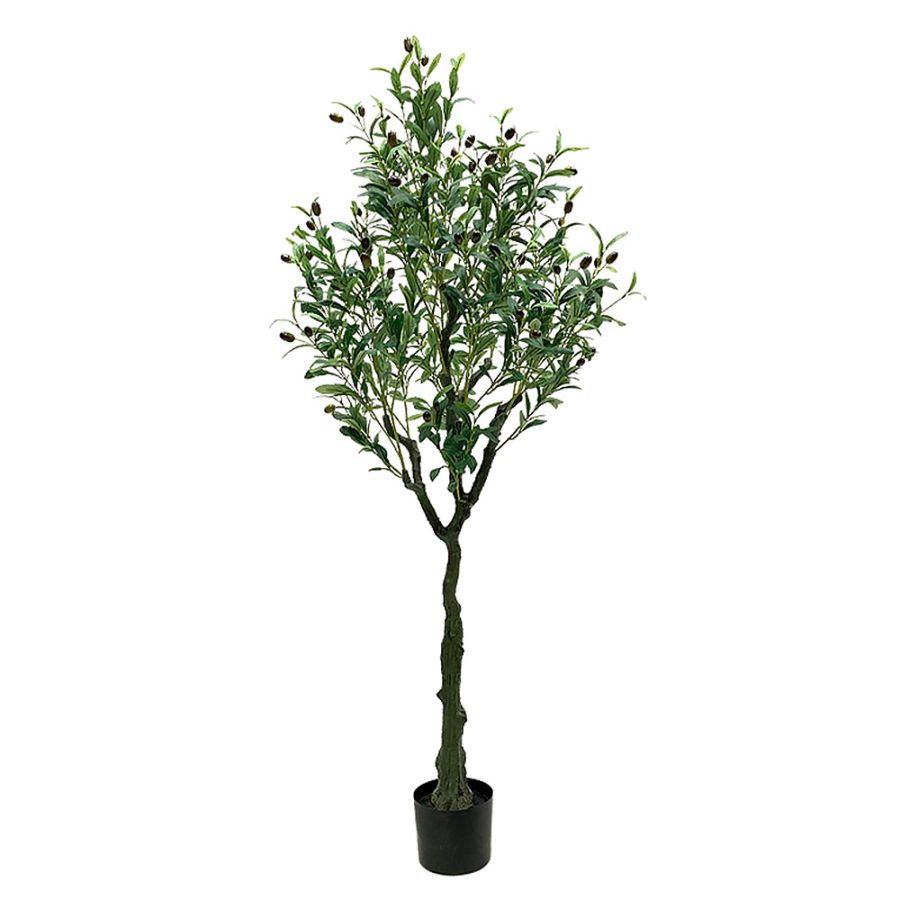 Planta artificial de olivo de 150cm de altura - 12 ramas y 72 Aceitunas - Maceta de 15 cm