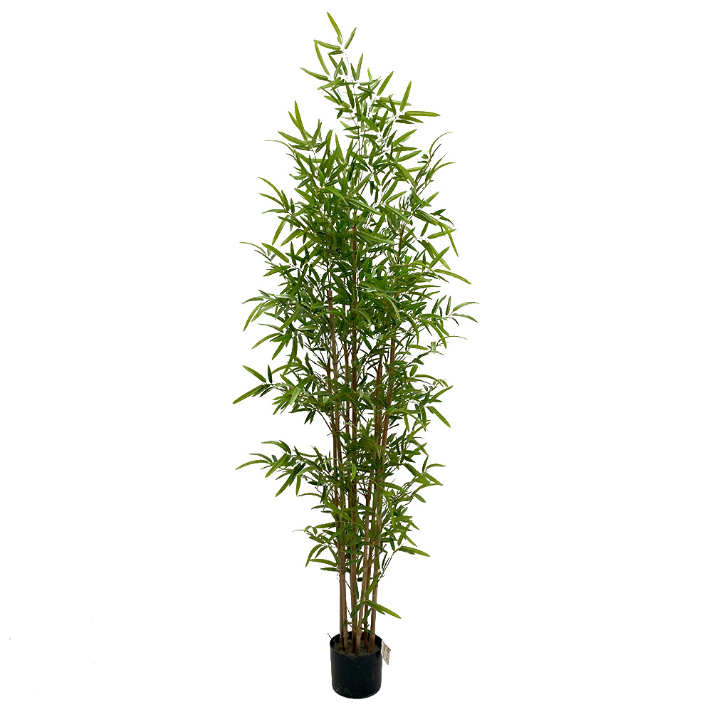 Bambú artificial verde de 210cm de altura-7 troncos de caña naturales - 2430 hojas verdes -cubierta de maceta recta de 17 cm con arena negra