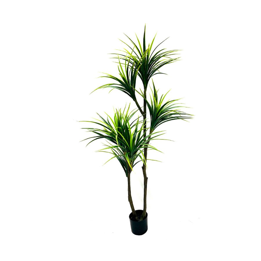 Planta artificial de drácena de 150cm de altura-6 tenedores - 168 hojas- maceta negra de 17 cmº