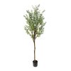 Planta de eucalipto de 180 cm de altura- 12 ramas - 1032 hojas -Maceta de 15 cm