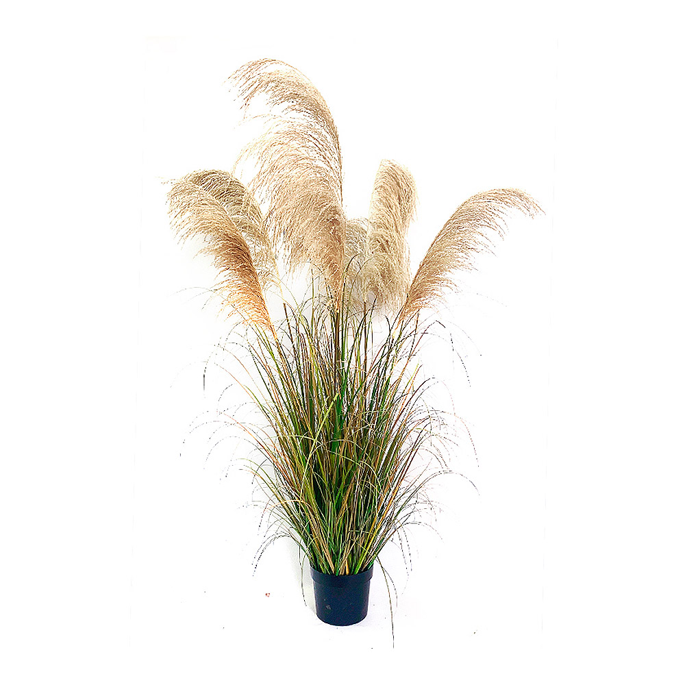 Planta artificial de cañas de pampa de 172 cm de altura- 7 cabezas de cañas naturales -Hojas de color otoñal - con maceta