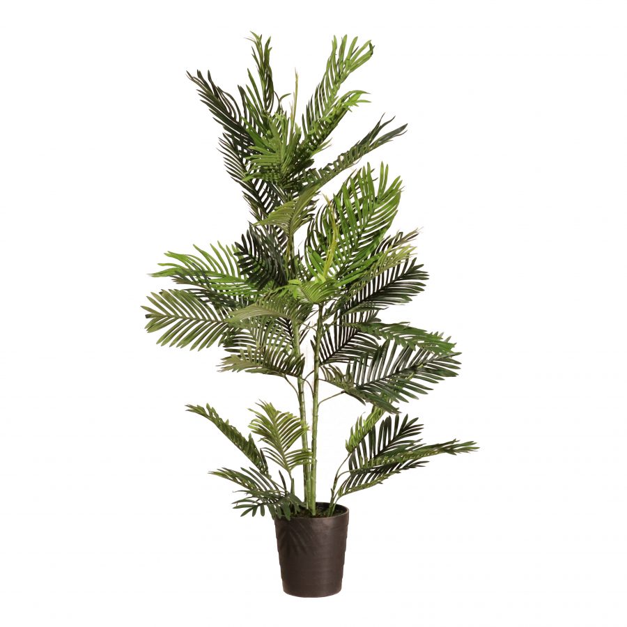 Palmera 150cm