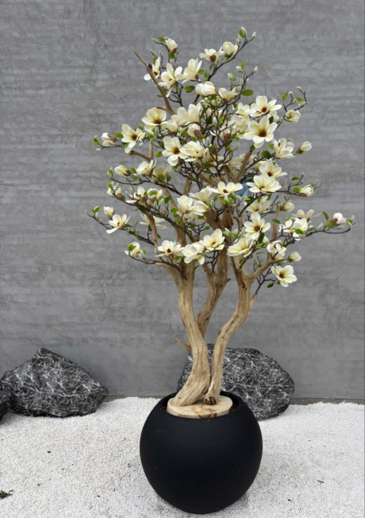 Magnolio Capri