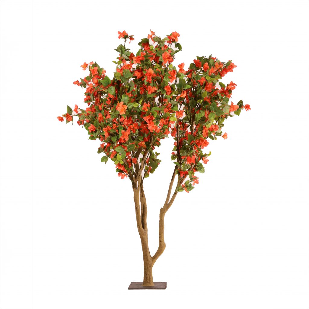Buganvilla naranja