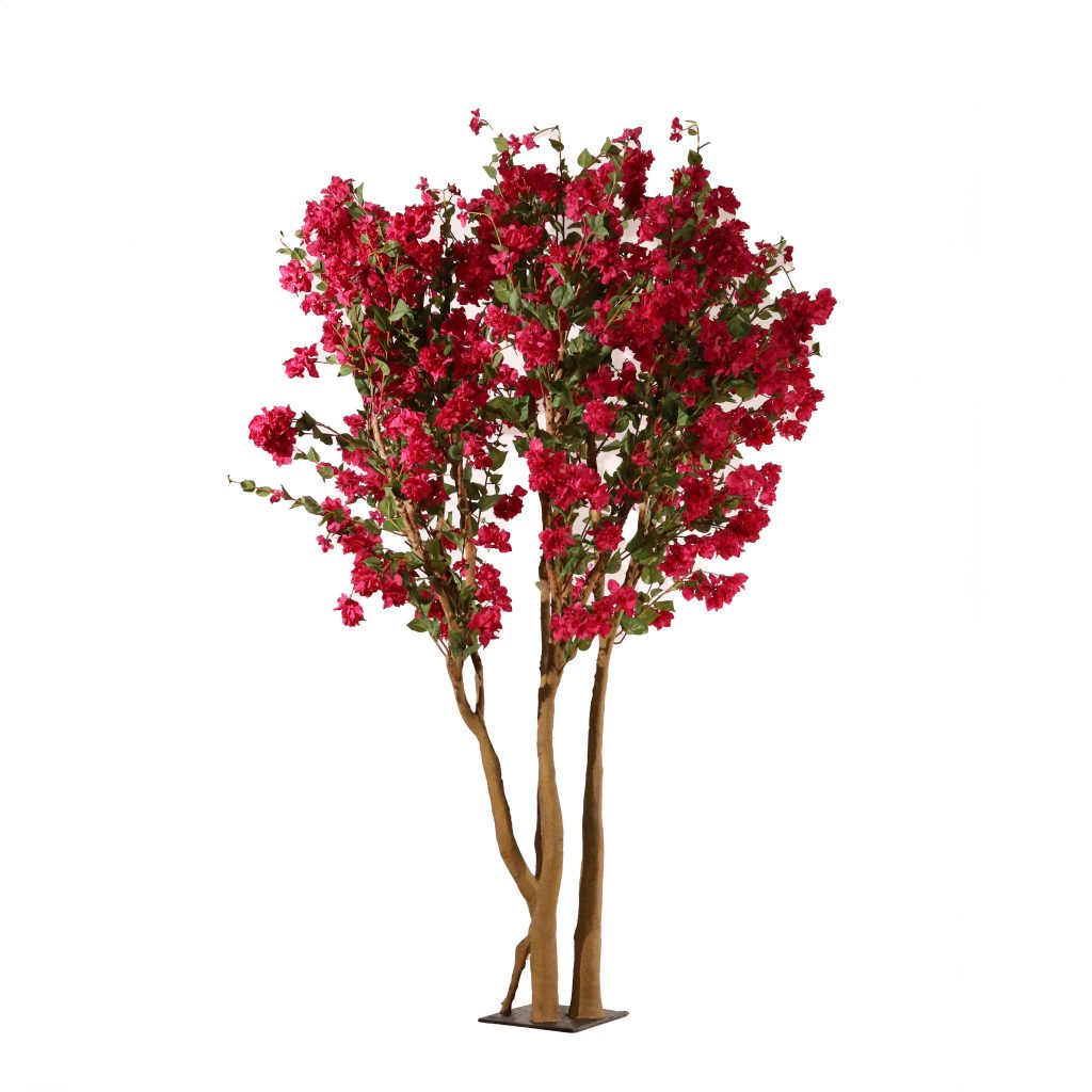 Buganvilla rosa