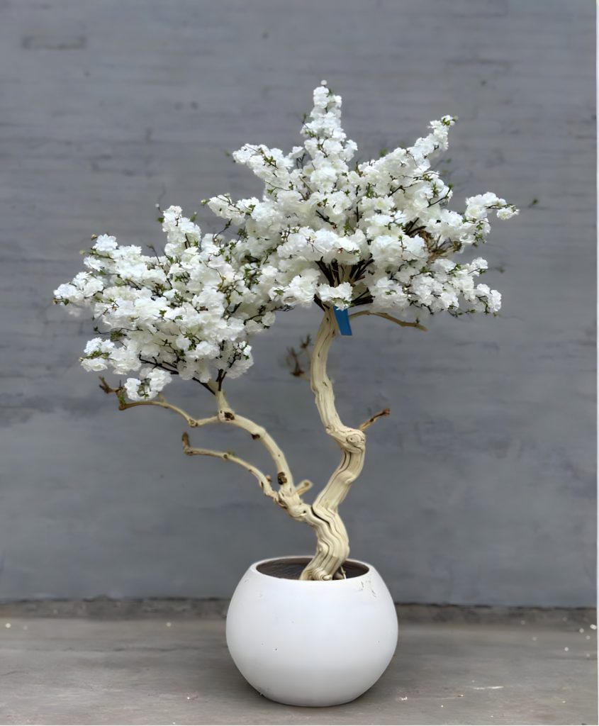 Cerezo blanco