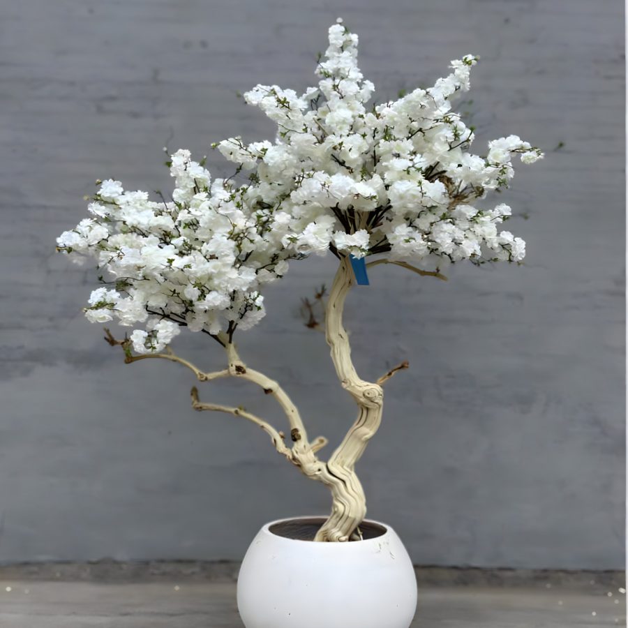 Cerezo blanco