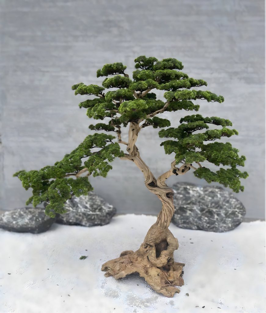 Bonsai Fuji