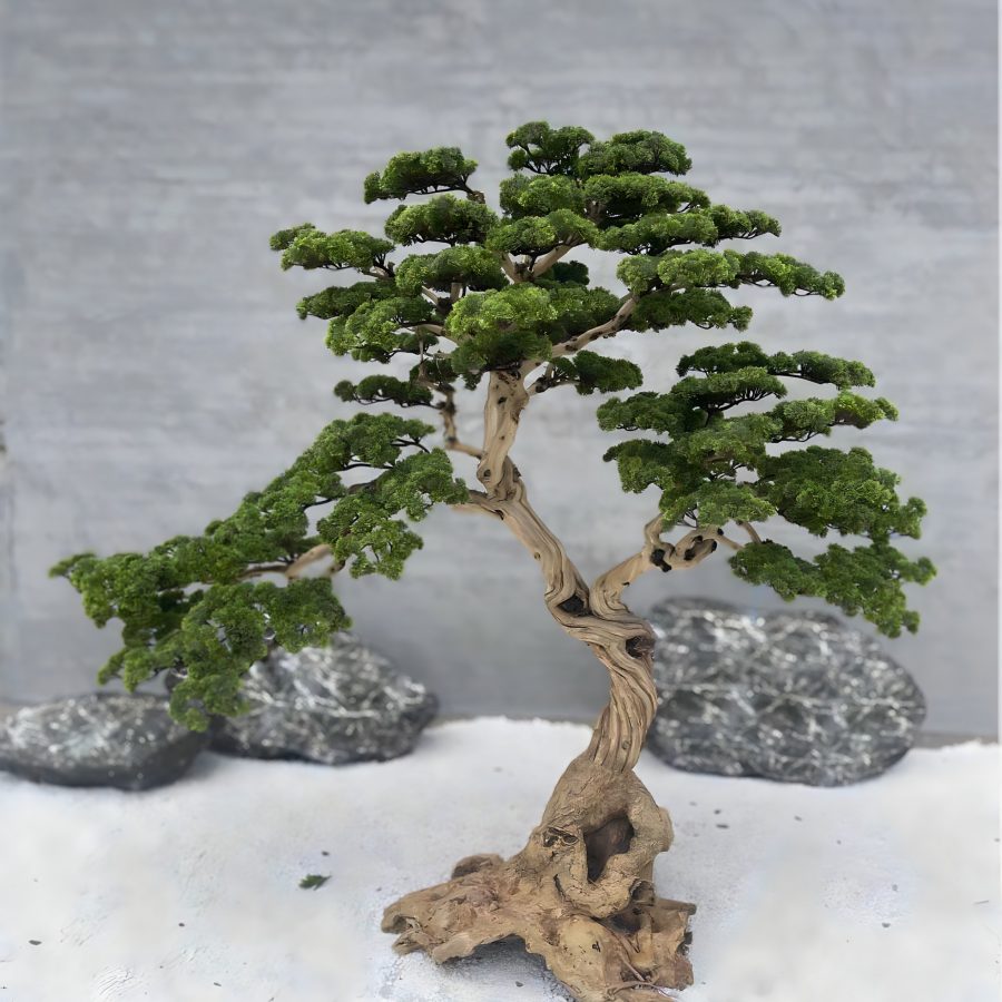 Bonsai Fuji